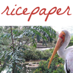 Ricepaper Magazine & Talkrice Travel Series